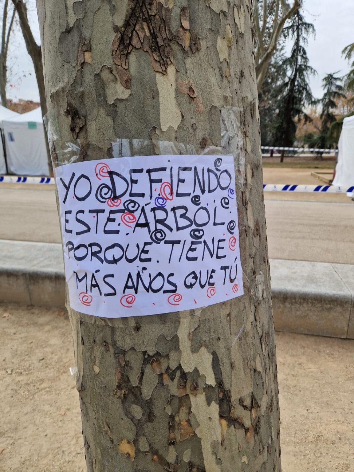 Madrid se levanta contra la tala de árboles - Noticias Positivas