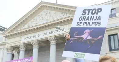 Actividades en BioCultura Bilbao y movilización ciudadana contra la macrogranja de pulpos de Nueva Pescanova