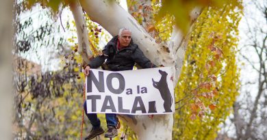 Vecinos y colectivos ecologistas salen a la calle contra la tala de árboles iniciada en Madrid Río
