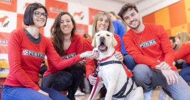 Proyecto Guau: perros de terapia asistida educados por voluntarios de Purina