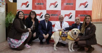 “Alianza Purina Terapia Animal”, una iniciativa para promover la terapia asistida con perros en centros sanitarios