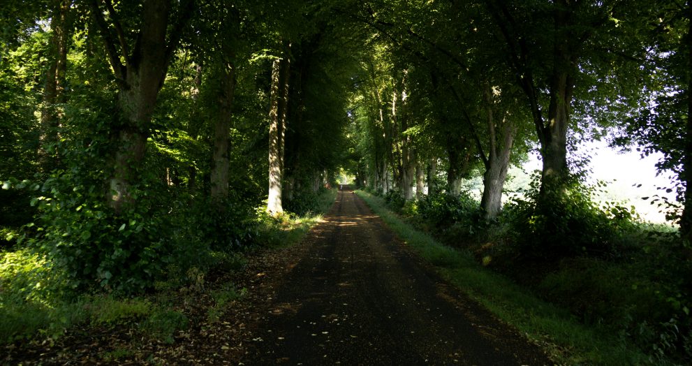COPADE destaca la importancia del desarrollo rural para evitar incendios
