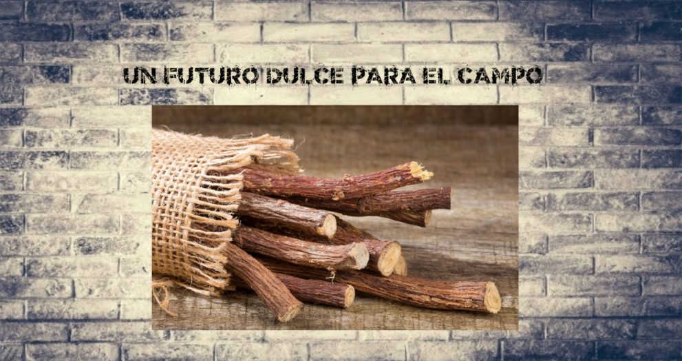 Un futuro dulce para el campo
