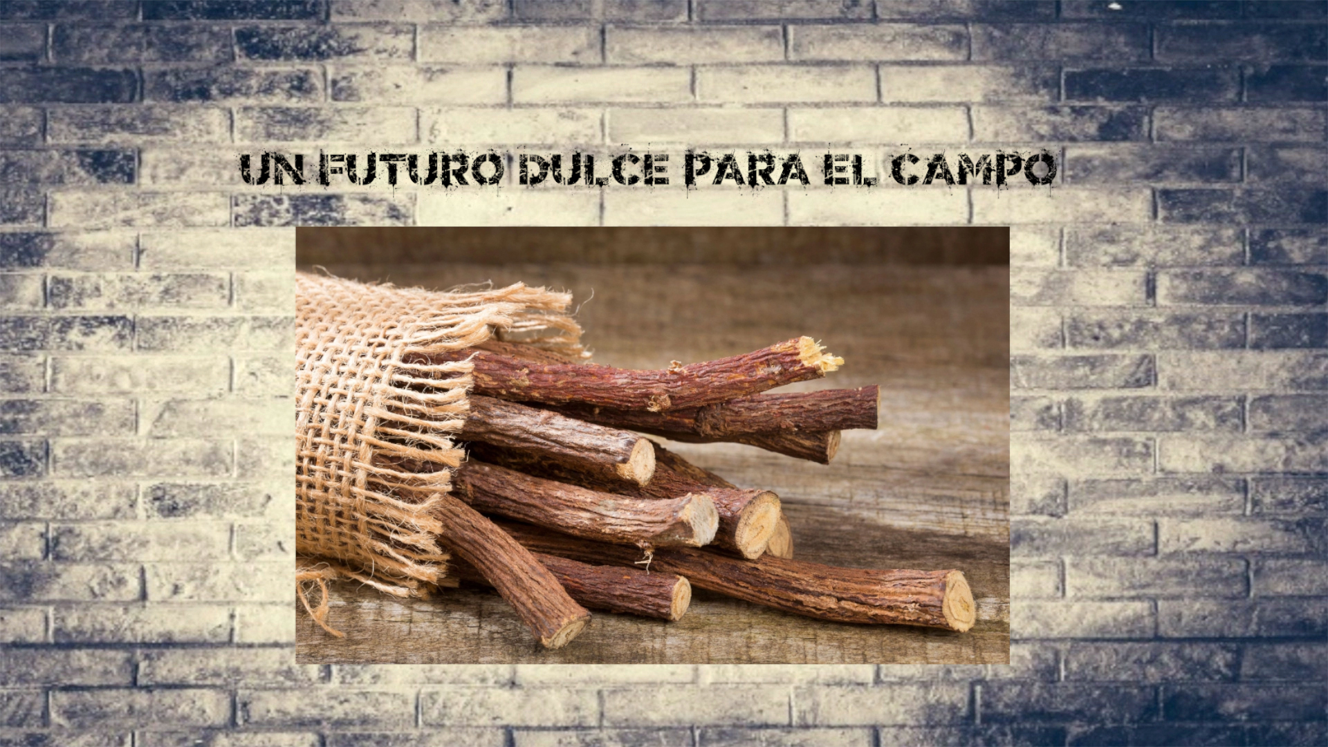 Un futuro dulce para el campo