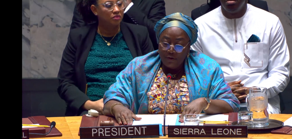 Ecocidio en el Consejo de Seguridad de Naciones Unidas