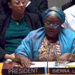 La ley sobre el ecocidio llega al Consejo de Seguridad de Naciones Unidas