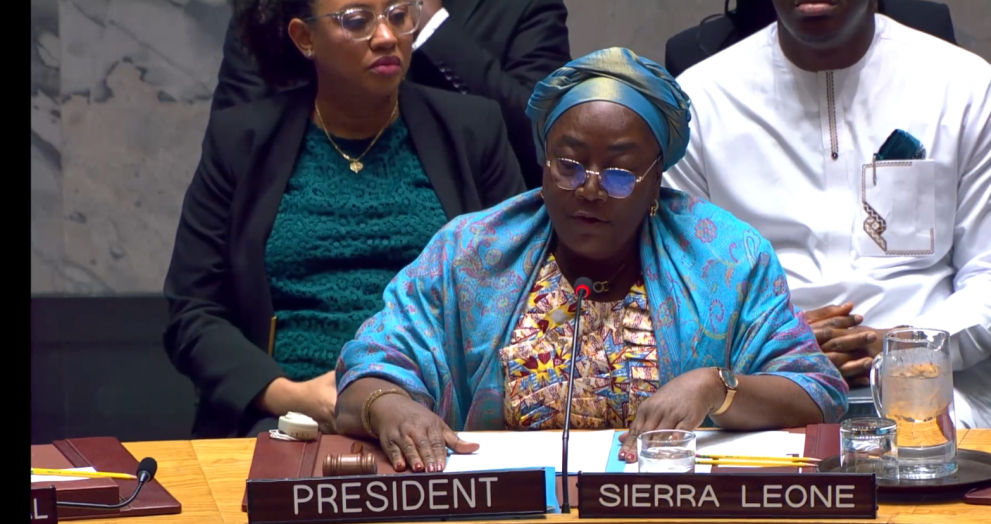 Ecocidio en el Consejo de Seguridad de Naciones Unidas