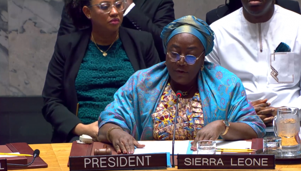 Ecocidio en el Consejo de Seguridad de Naciones Unidas