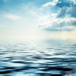 90 organizaciones impulsan el Foro Social Más Allá del Crecimiento para construir un nuevo modelo ecosocial