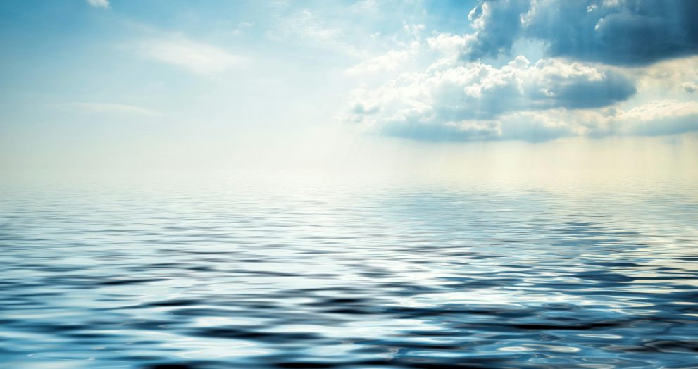 Entra en vigor el Tratado de los Océanos para proteger la biodiversidad en aguas internacionales