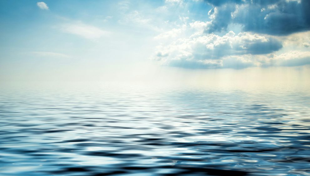 Entra en vigor el Tratado de los Océanos para proteger la biodiversidad en aguas internacionales