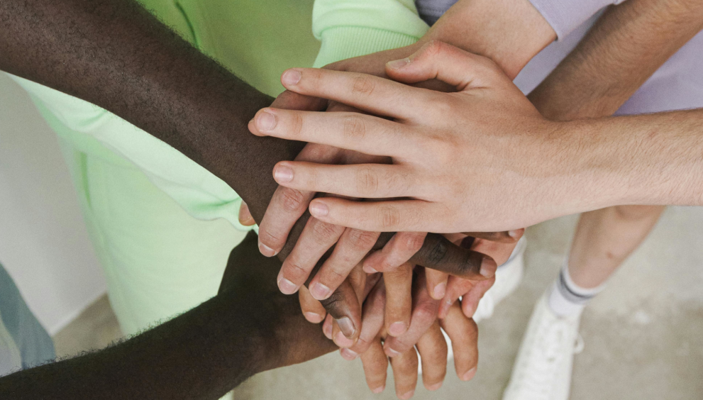 Manifiesto por la bondad radical