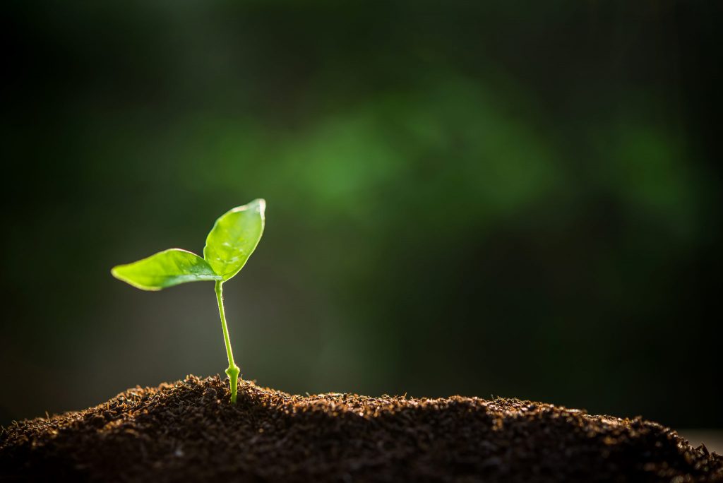La agricultura ecológica puede ser la solución a la crisis de los fertilizantes