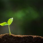 La agricultura ecológica puede ser la solución a la crisis de los fertilizantes
