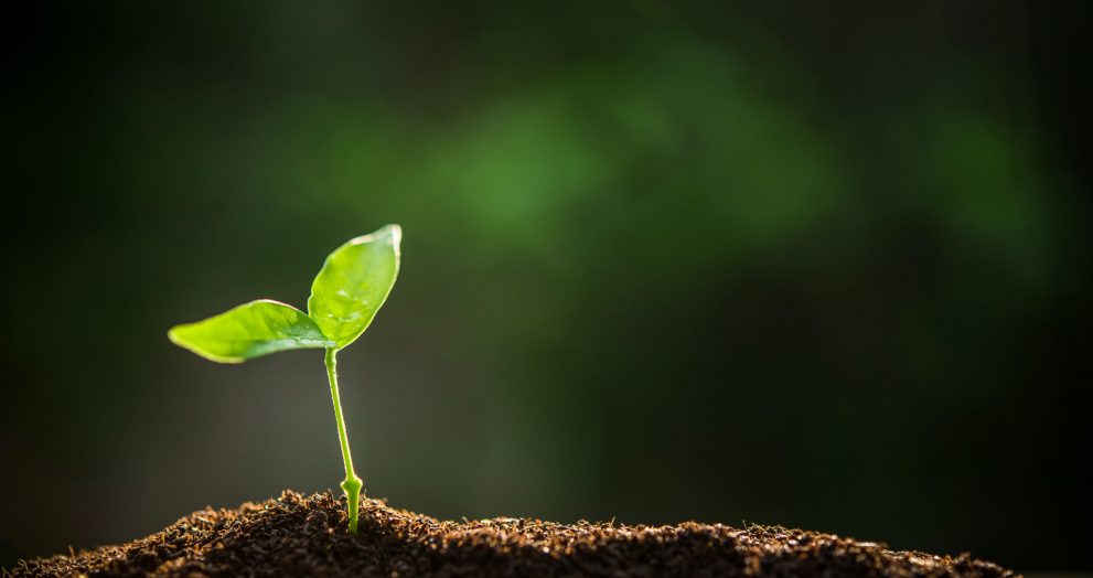 La agricultura ecológica puede ser la solución a la crisis de los fertilizantes