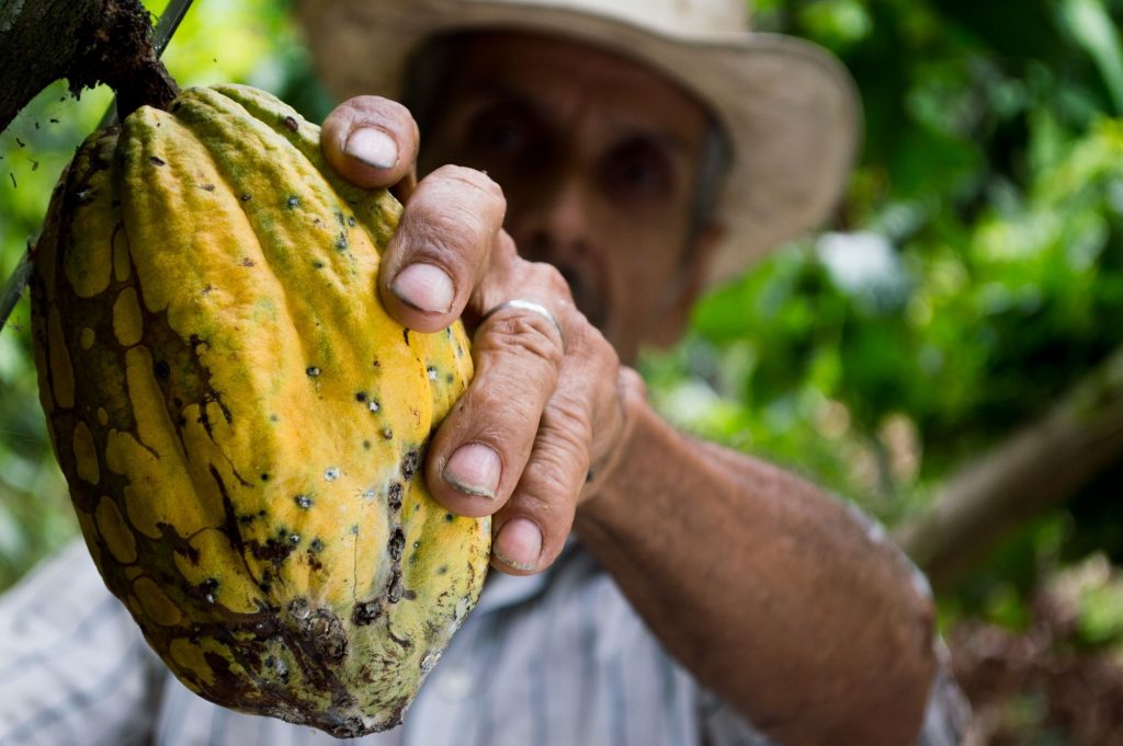 Comercio justo: España aumenta un 16% el consumo de productos Fairtrade y supera los 157 millones de euros en ventas