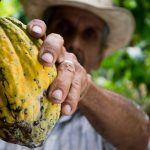 Comercio justo: España aumenta un 16% el consumo de productos Fairtrade y supera los 157 millones de euros en ventas