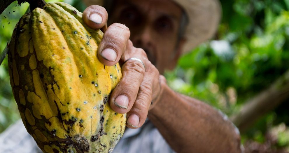 Comercio justo: España aumenta un 16% el consumo de productos Fairtrade y supera los 157 millones de euros en ventas