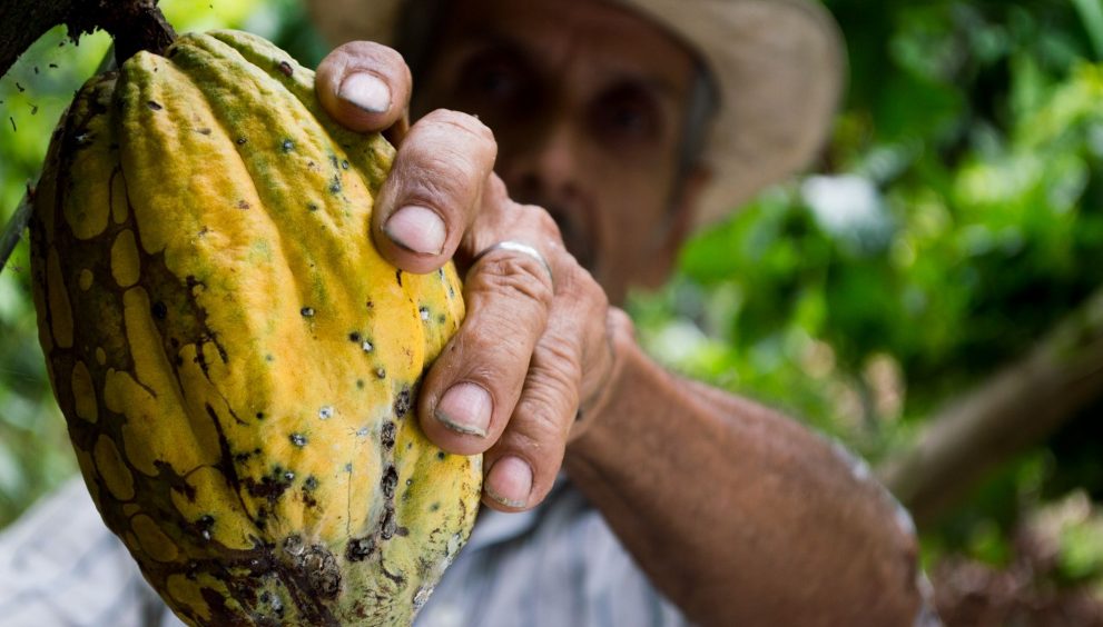 Comercio justo: España aumenta un 16% el consumo de productos Fairtrade y supera los 157 millones de euros en ventas