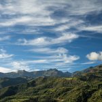 Cada dólar invertido en acción climática y mejora de la calidad del aire puede generar un retorno de 15 dólares